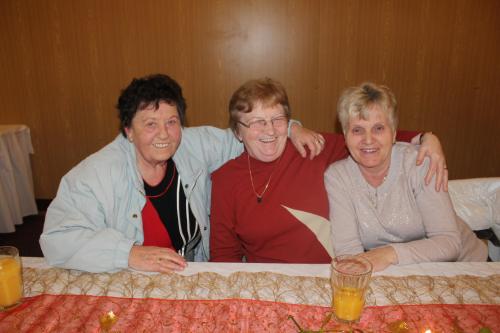 Setkání seniorů 2016