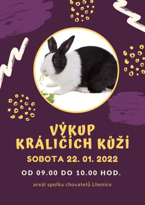 Výkup králičích kůží