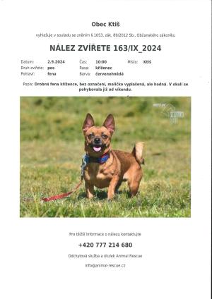 Nález psa
